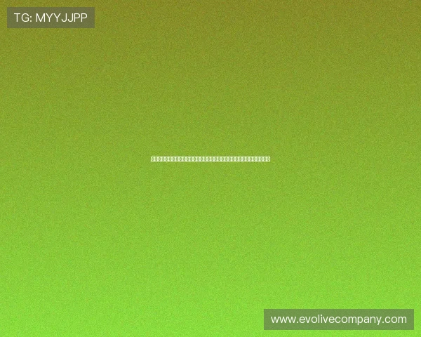 百家樂娛樂城平台利用世界杯热潮，优化用户体验，提升平台流量和用户粘性