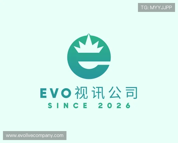 解读evo视讯公司